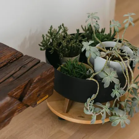 The Forest - Luxe With Free Secured Parking