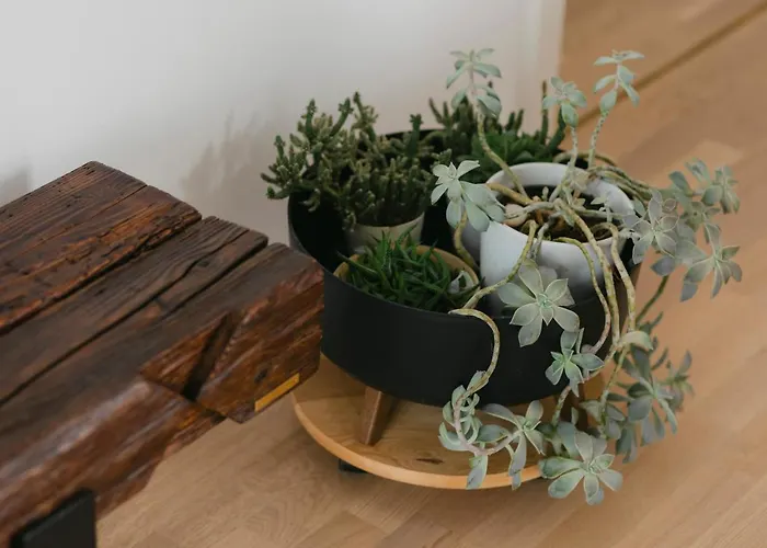 The Forest - Luxe With Free Secured Parking