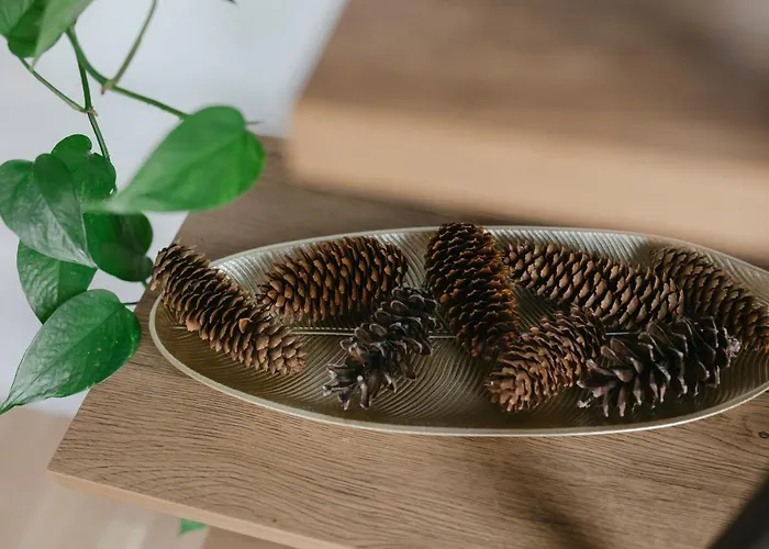 The Forest - Luxe With Free Secured Parking *